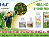 CHIA SẺ VỀ 3 HOẠT CHẤT TRỊ ĐẠO ÔN PHỔ BIẾN HIỆN NAY