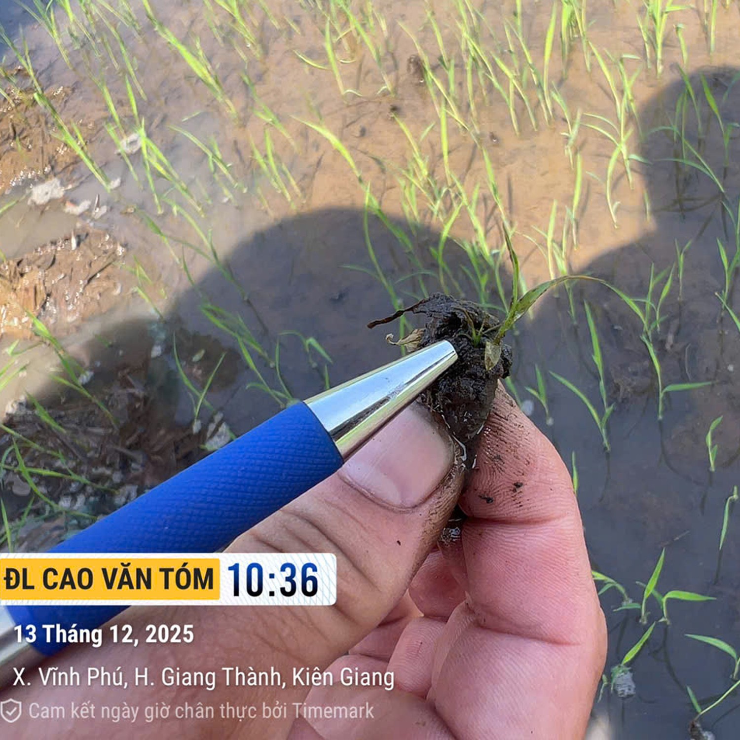 PETA PRO 500 ( 800ML )