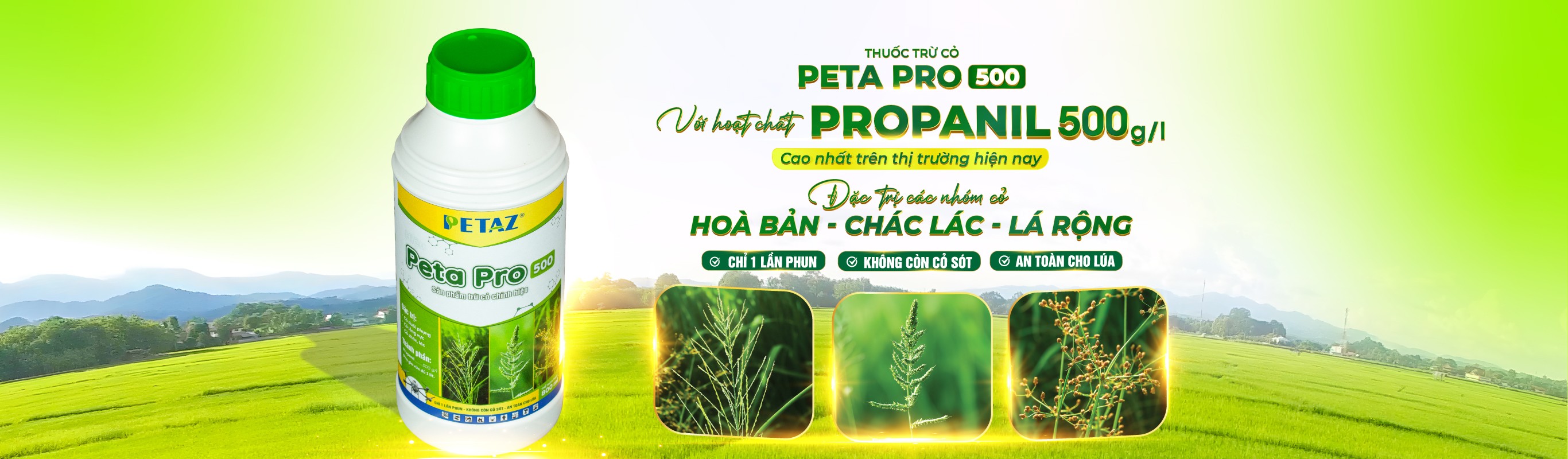 PETA PRO 500 ( 800ML )