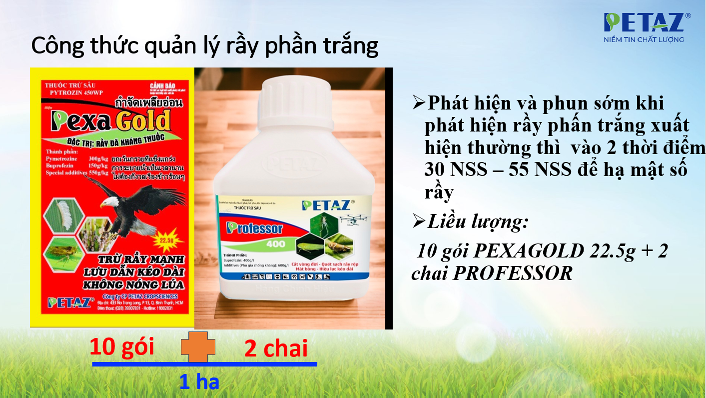 PROFESSOR 400SC - 200ML
