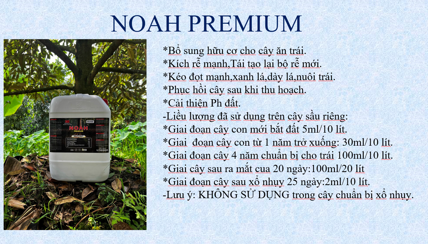 NOAH - 5 LÍT